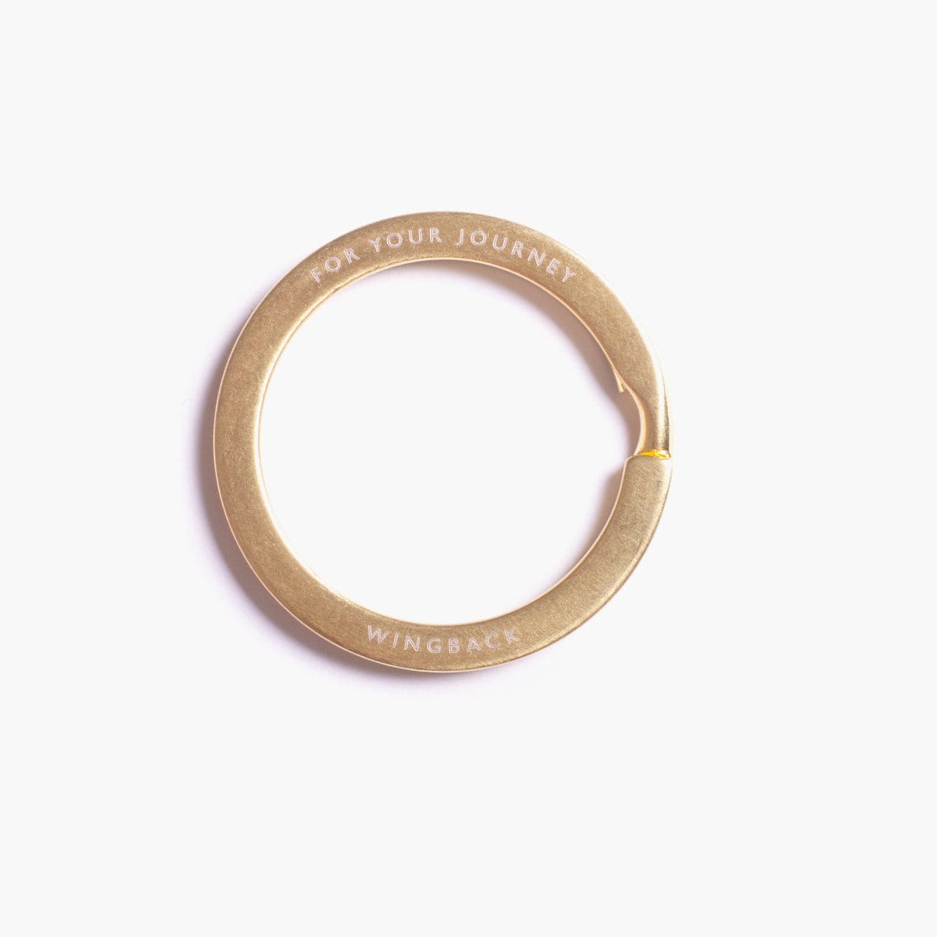 W202STE Брелок для ключей - Нержавеющая сталь Wingback  - Вид №1