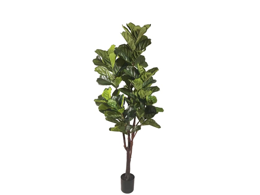 Искусственное растение BIZZOTTO FICUS LYRATA H220 ARCH-00068383