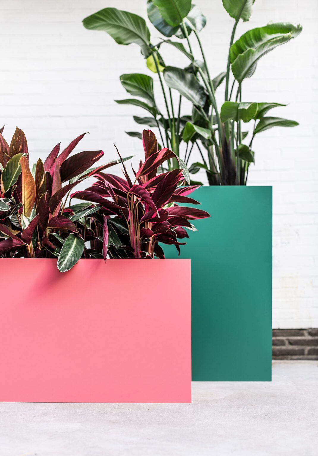 Низкая алюминиевая плантатор с порошковым покрытием SIXINCH PLANTER ARCH-00146353 - Вид №14