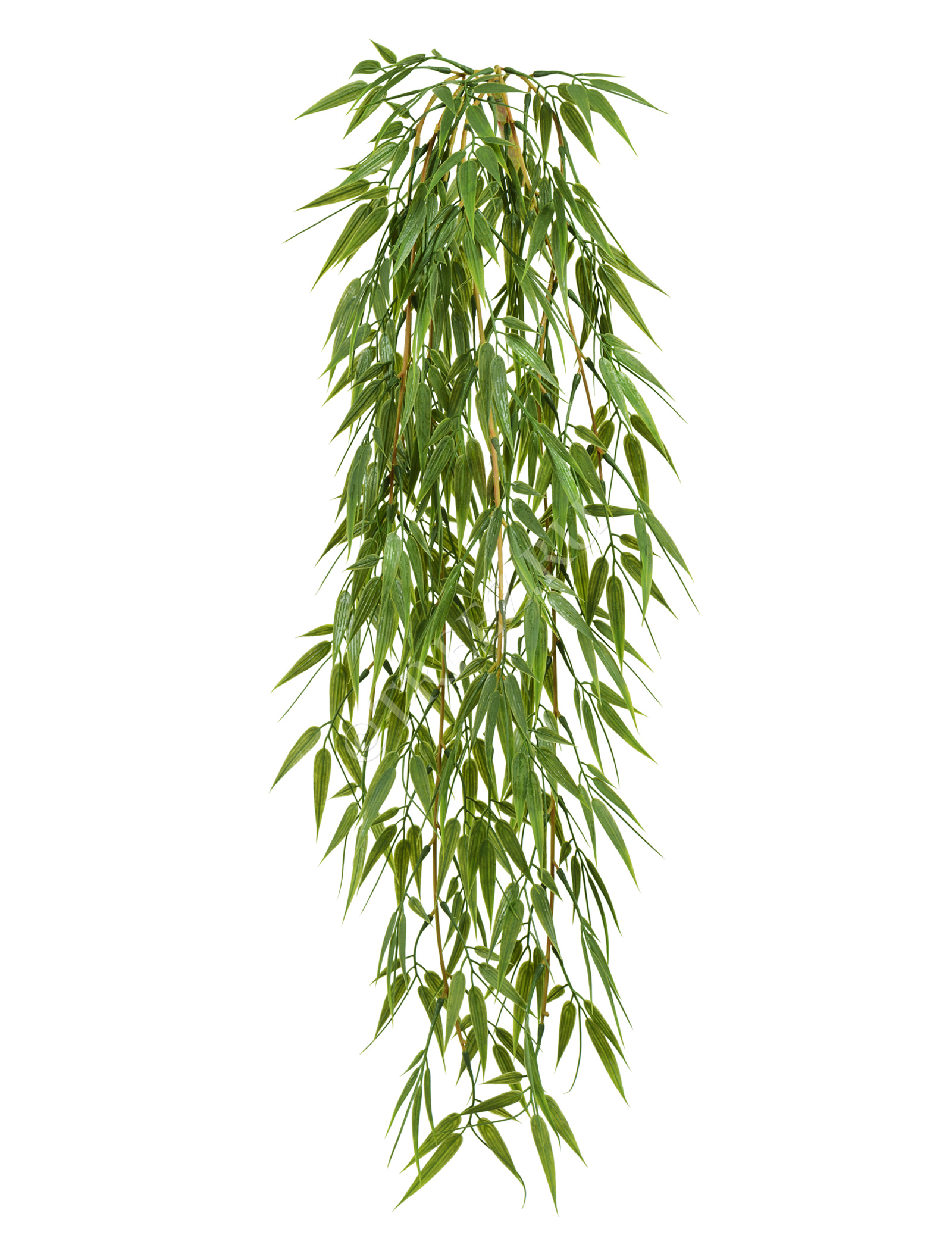 20.1415XXL Бамбук ампельный Цветочная коллекция  - Вид №1