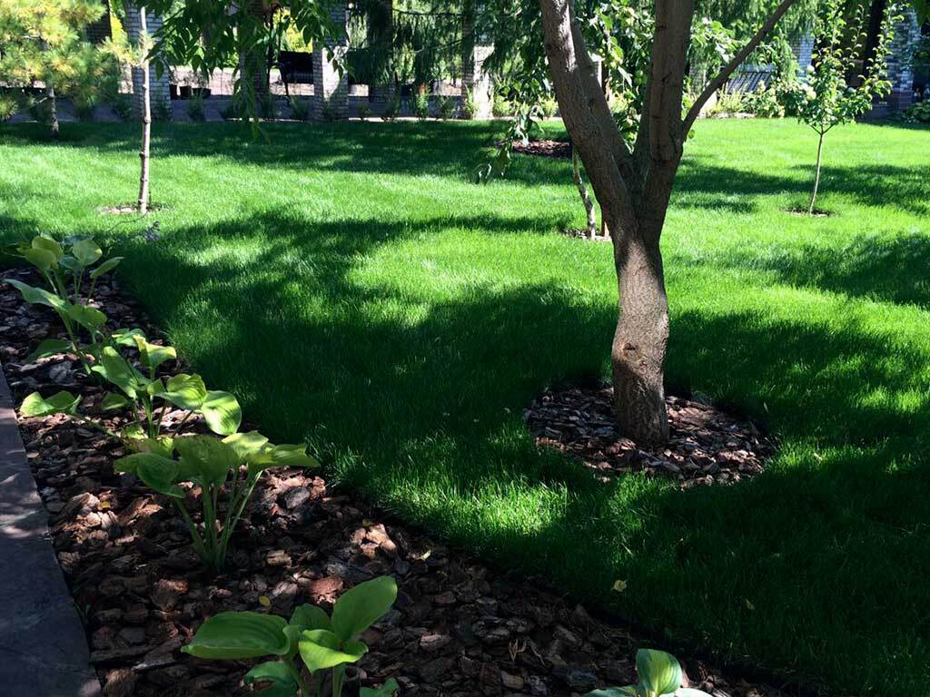 Пластиковый бордюр 58 мм, длина 1 м, зелёный ГеоПластБорд GPBST-54 - Вид №15