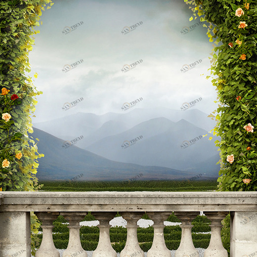 B1-051 Фотообои DIVINO Collection B 2.7х2 м B1051