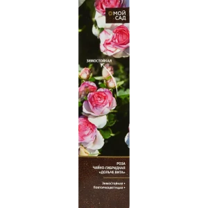 Роза чайно-гибридная Дольче Вита ø9 h30 см 86735590 STLM-2167112