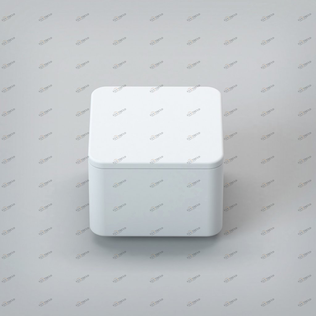 Бокс квадратный с крышкой, 10х10х8 CEZARES TITAN-SQUARE-SCAT