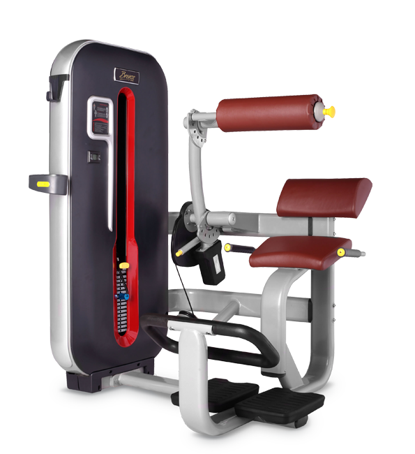 MT-009 mt-009 разгибание спины Bronze Gym MT серия  - Вид №1