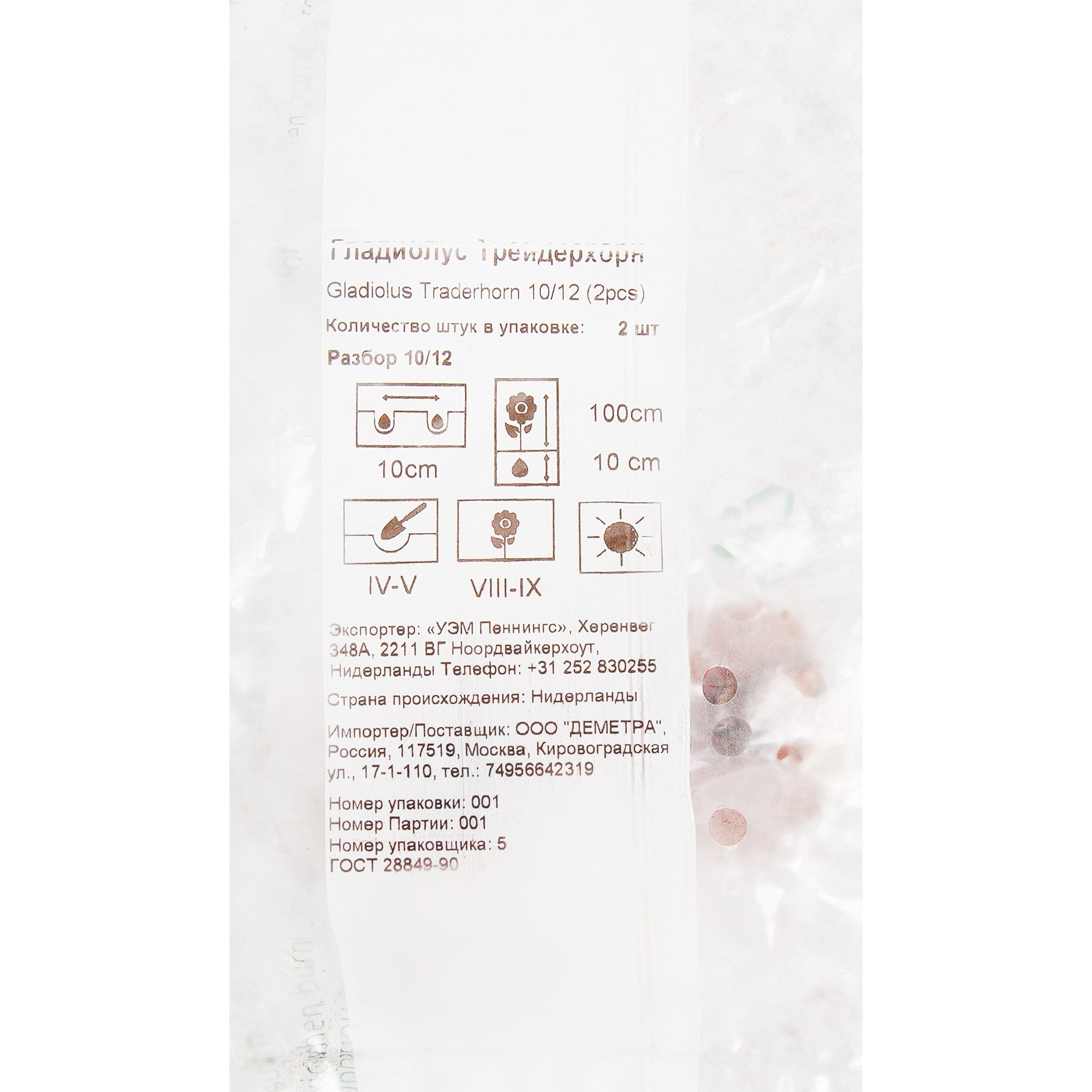 83760975 Гладиолус Трейдерхорн луковица 10/12 Santreyd 