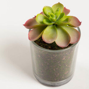 081738 Flower Искусственное растение в стеклянном горшке 11см La Forma Aeonio