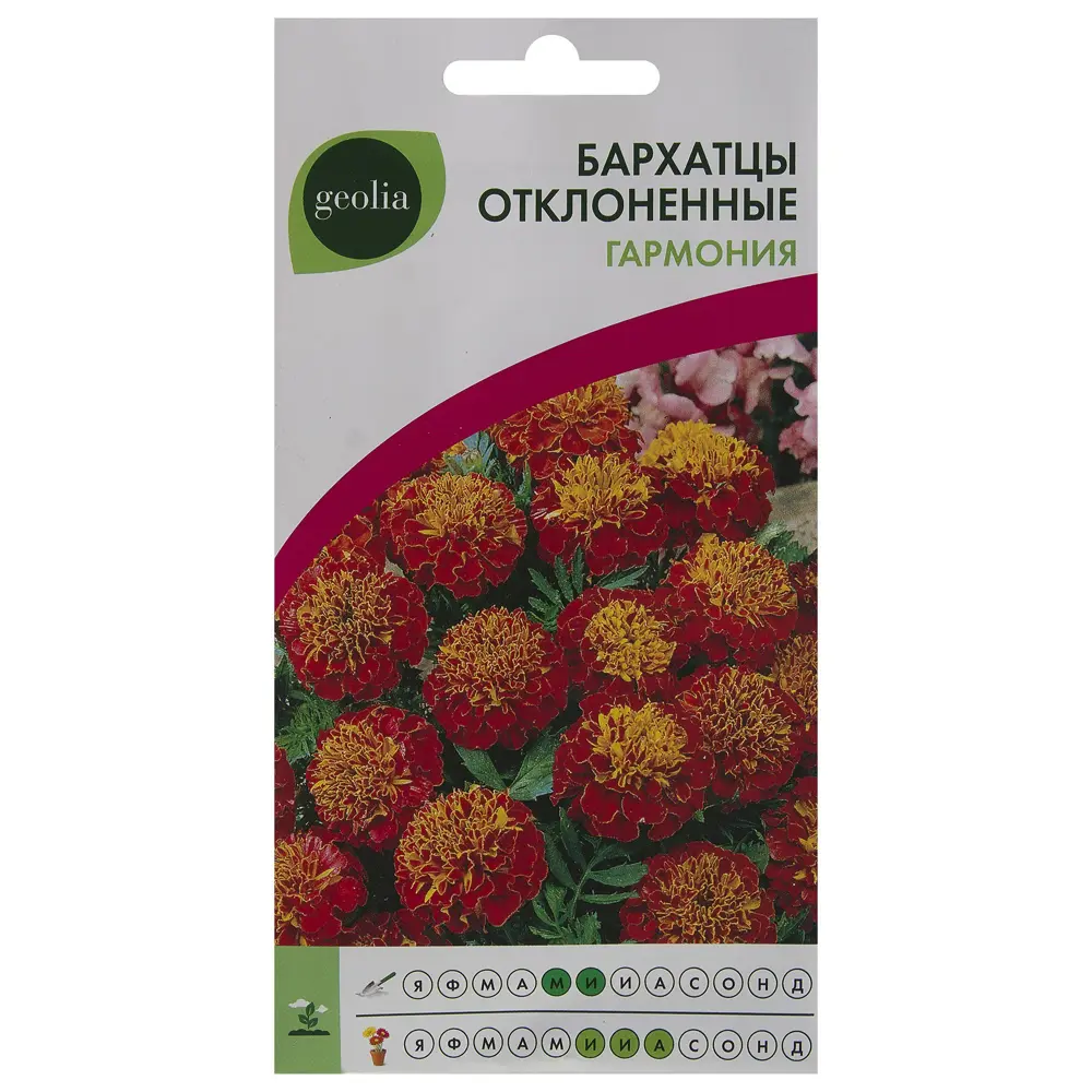 Бархатцы GEOLIA «Гармония» — красно-оранжевые с жёлтой сердцевиной 17585519 STLM-0956217