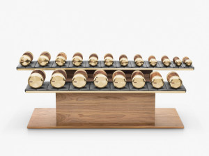 Набор гантелей из нержавеющей стали и дерева