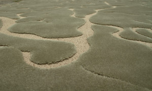 035150 Ковер Andalucia NOW CARPETS