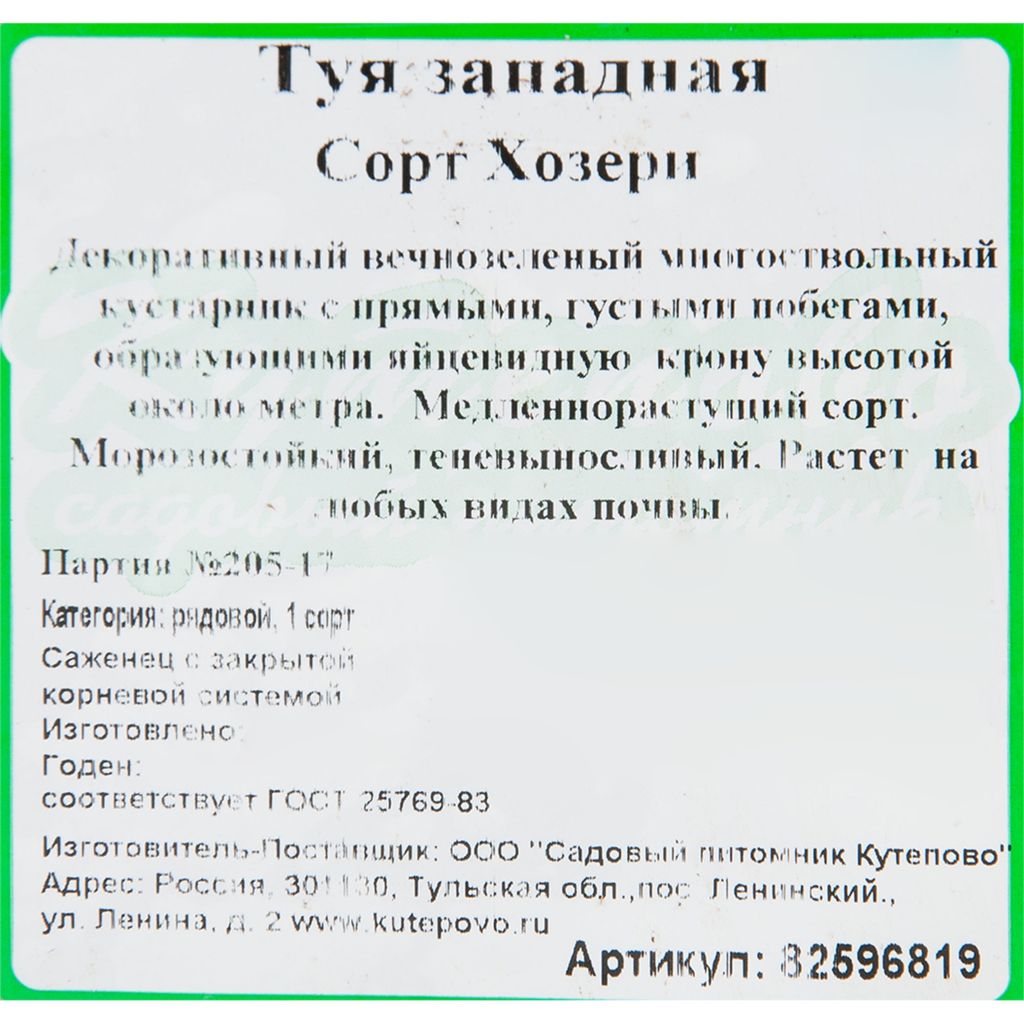 82596819 Туя западная «Хозери» 15x30 см Santreyd  - Вид №1