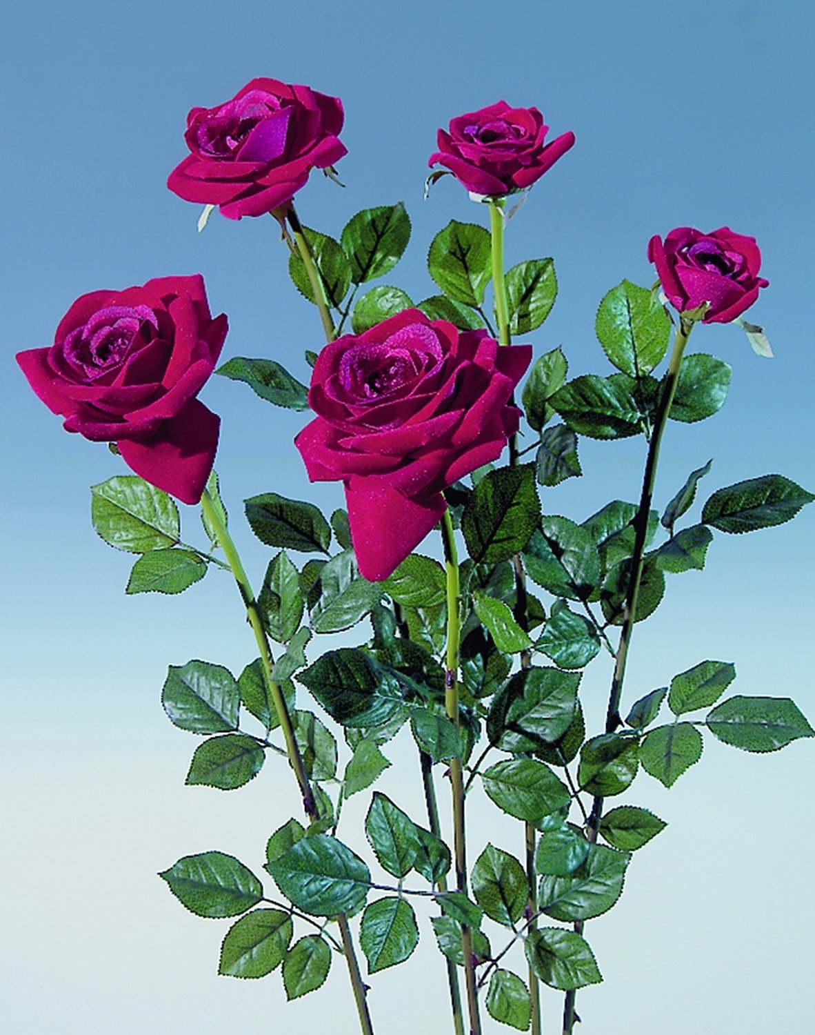 2619 444 a3 Набор искусственных роз, 5 шт, 68 см, красные H-andreas  - Вид №4