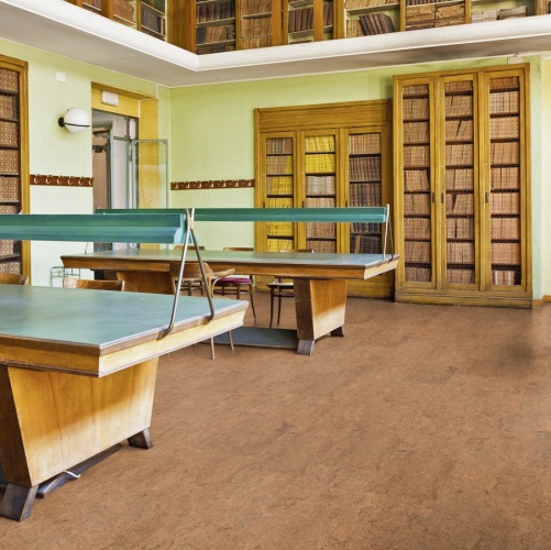 Пробка Wicanders Cork Parquet Symphony (Гладкая) 600х300 мм RN20001 - Вид №38