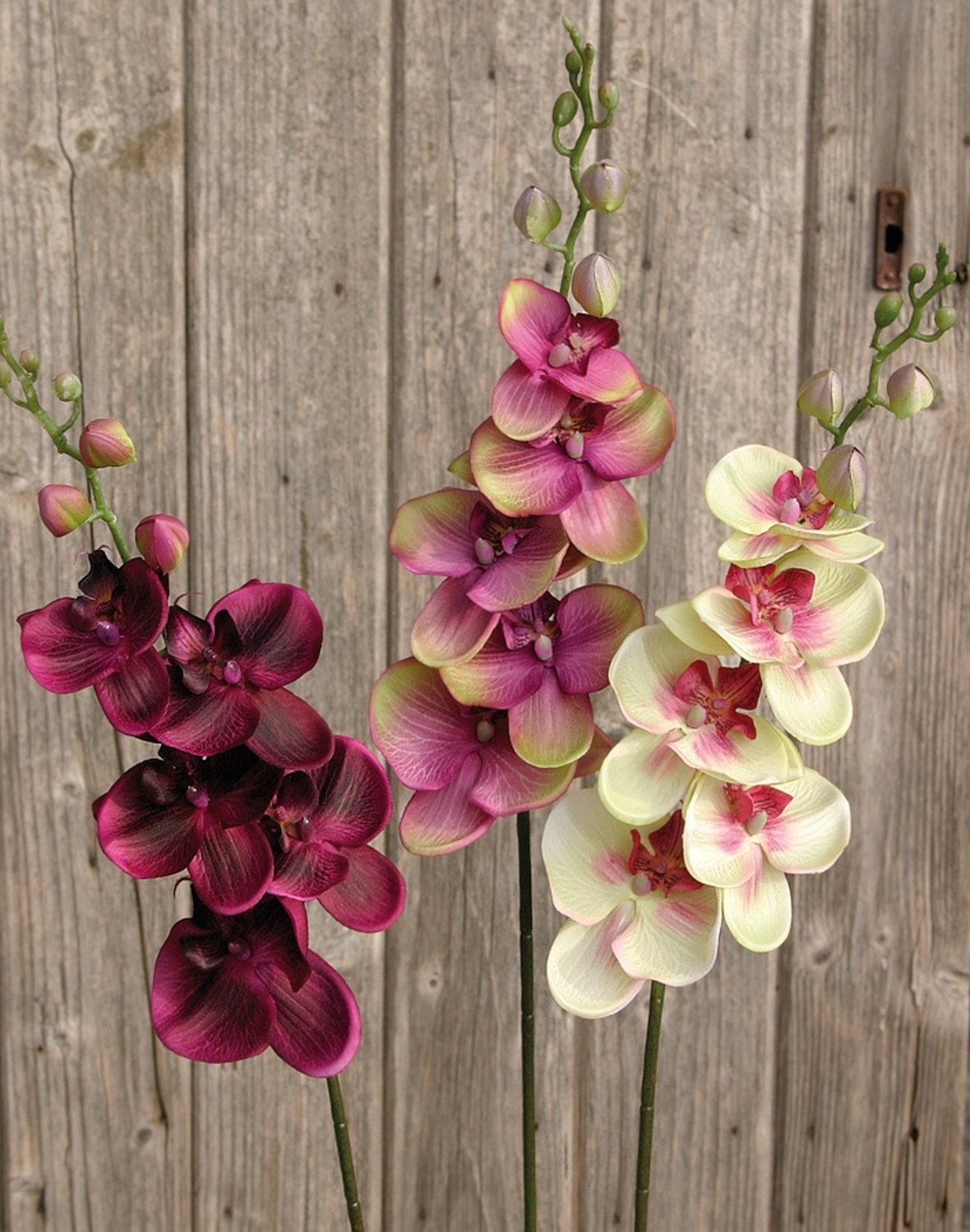 2423 208 a2 Искусственная орхидея Phalaenopsis, 92 см, фиолетово-зеленая H-andreas 