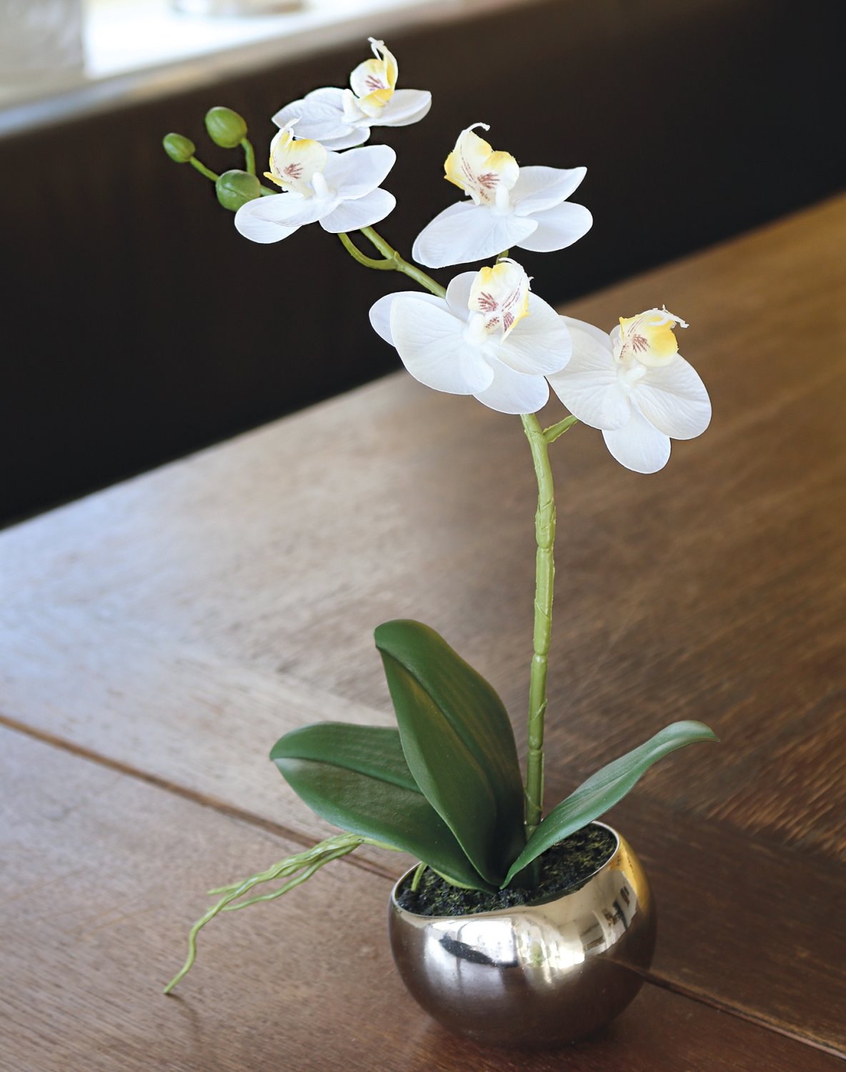 2964 778 a3 Пластиковая орхидея Phalaenopsis, горшечная, 35 см, real touch soft, бежево-белая H-andreas 