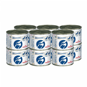 Т0031962*12 Корм для собак и кошек Vet Diet Recovery в период анорексии, выздоровления конс. 195г (упаковка - 12 шт) ROYAL CANIN