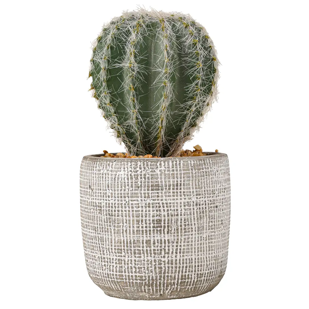 Искусственное растение в горшке Dream River Кактус 15 см STLM-2054049