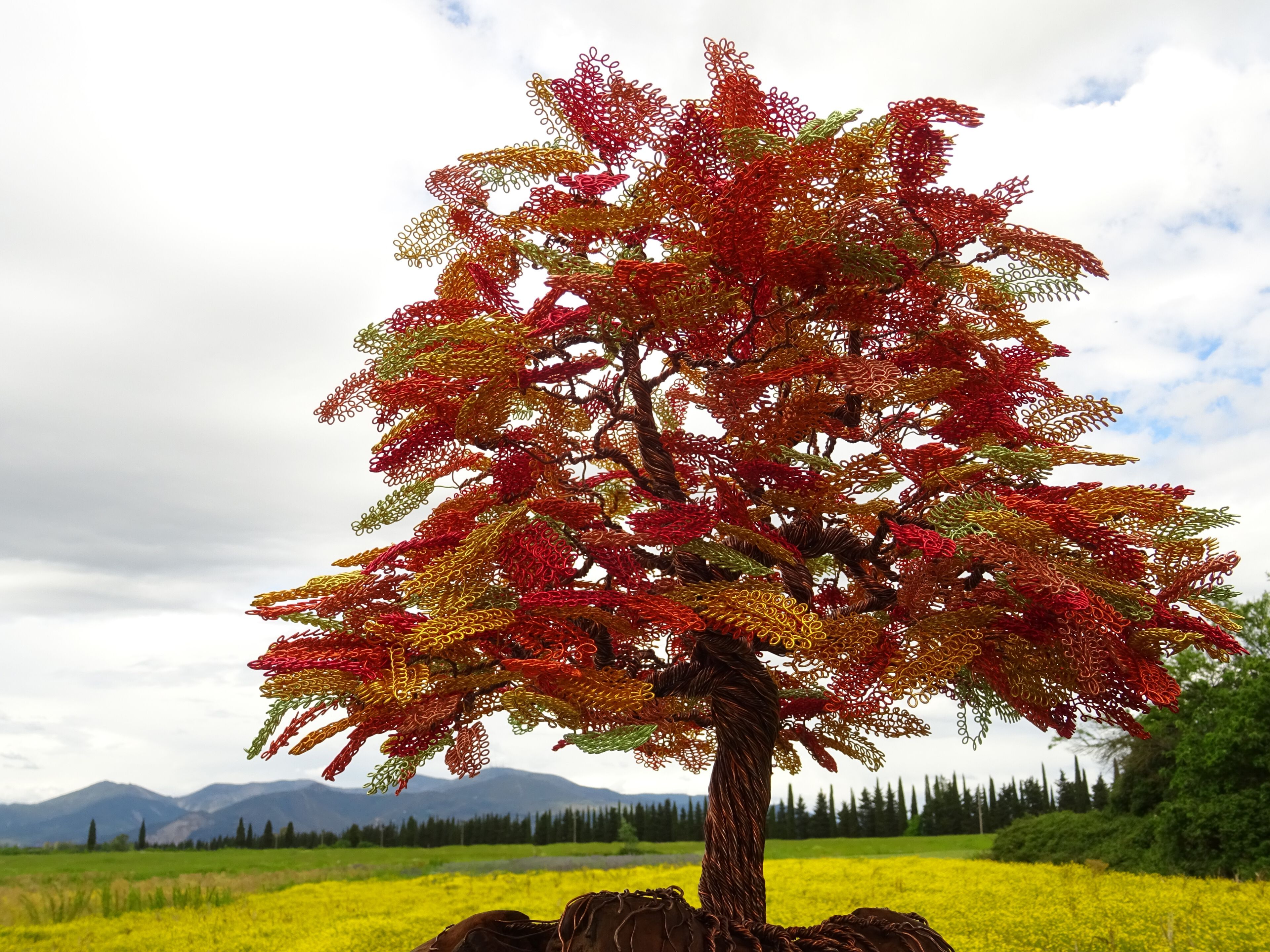 Скульптура из алюминия и оливкового дерева Mosche Bianche Zen Bonsai ARCH-00115155 - Вид №4