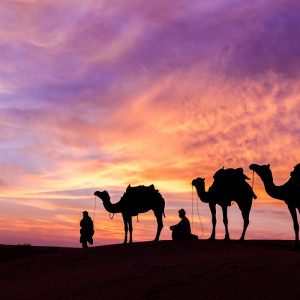 1978/CX38 Картина 1486 Adriani e Rossi