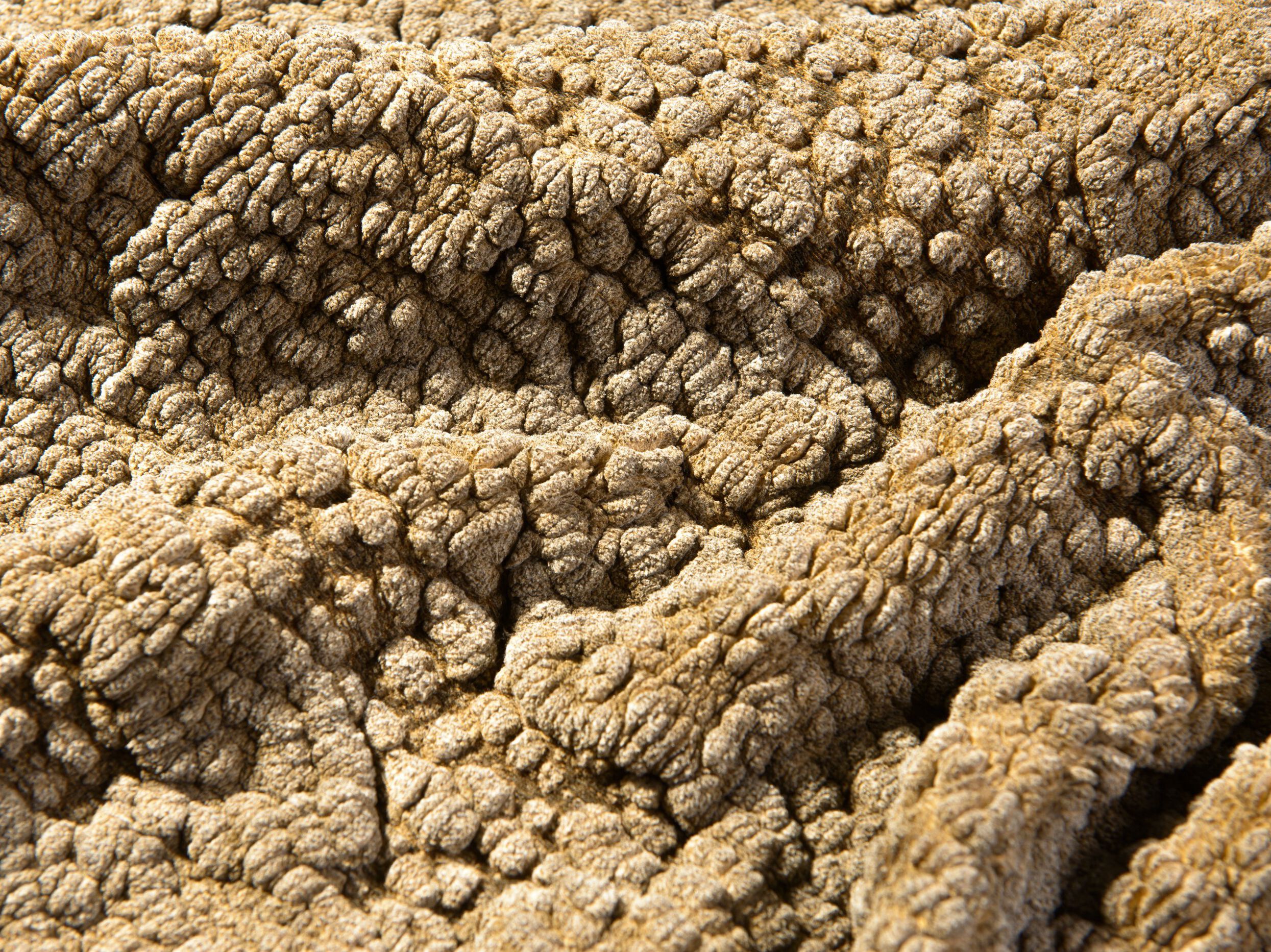 Полиэстер и хлопок ткань The House of Lyria MARUSCA ARCH-00107623