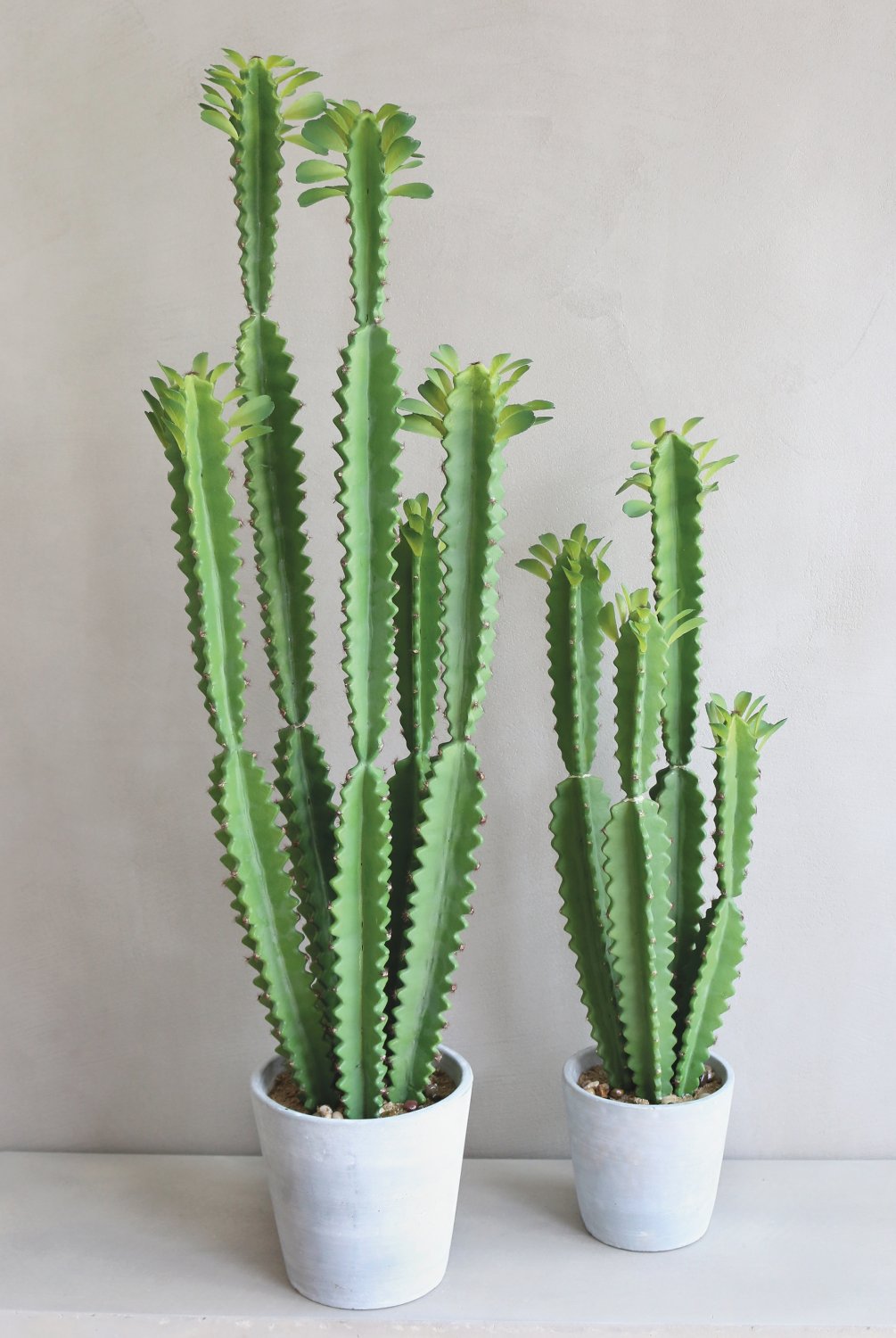 6063 883 a3 Молочай искусственный тригона, горшечный, 100 см, зеленый H-andreas  - Вид №3