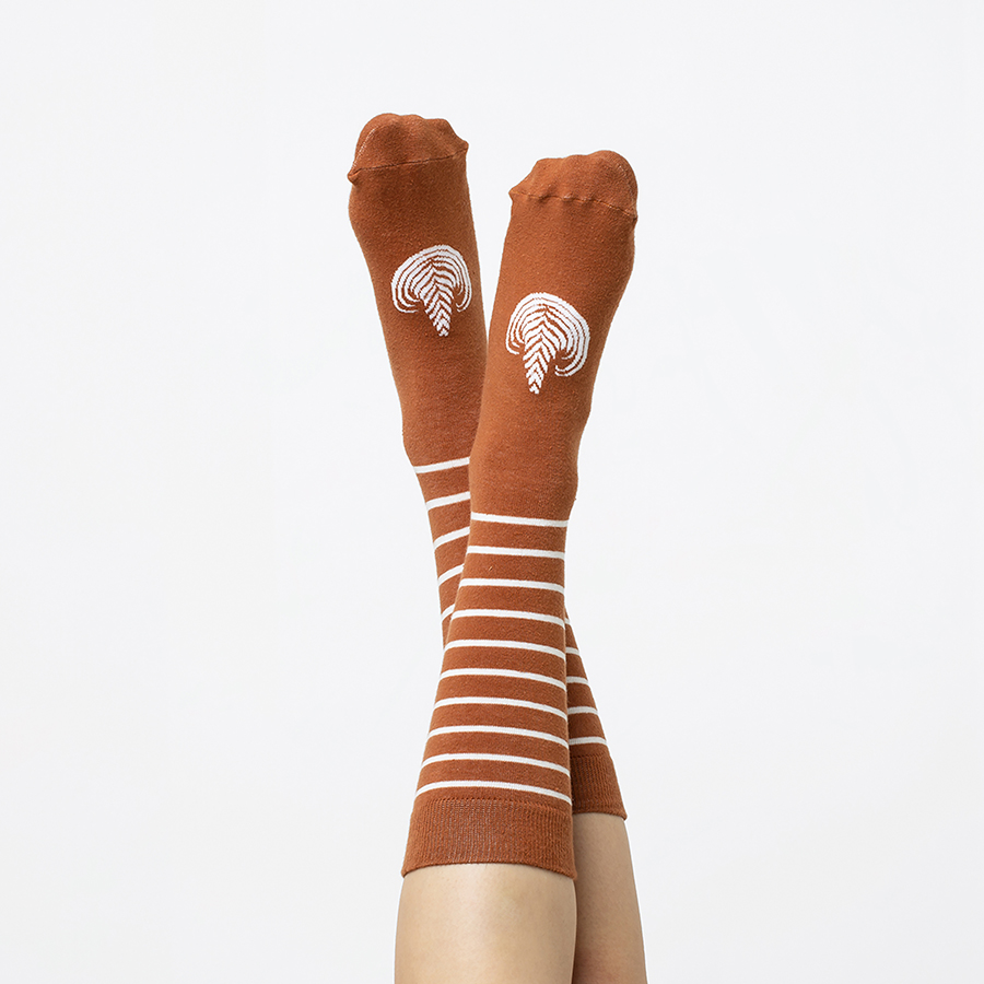 DYLATSOCA Носки latte caffe Doiy  - Вид №3