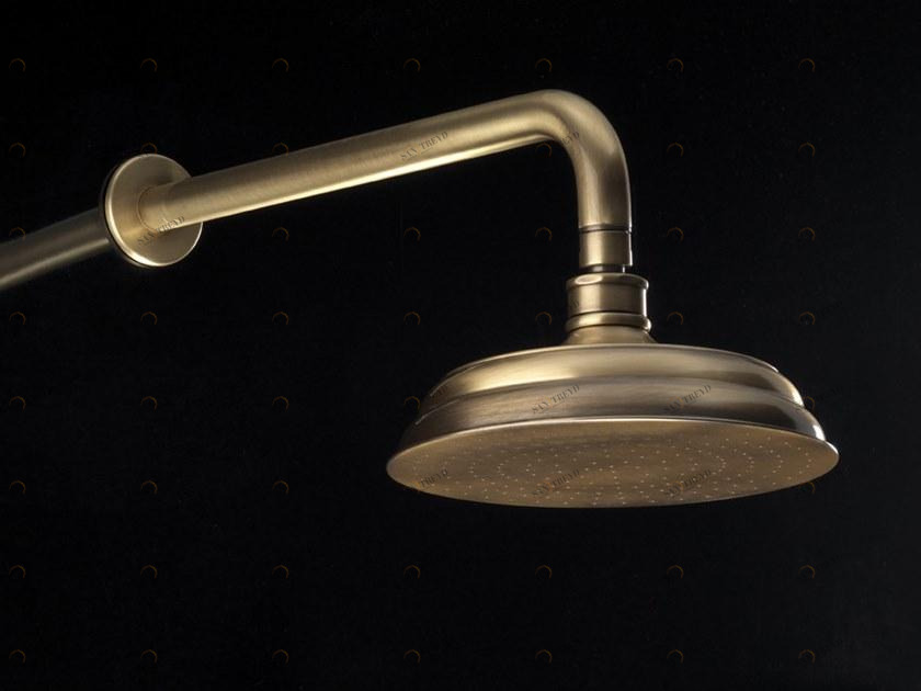 Devon&Devon Настенная лейка душа с держателем Royal Exc-ry140