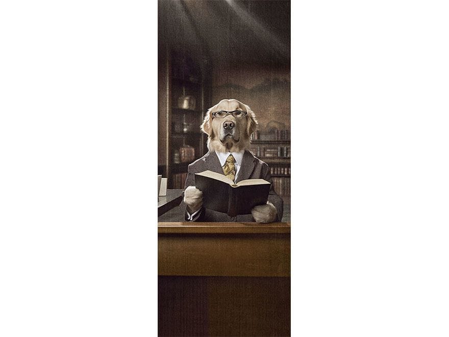 Наклейка на дверь Creativespace крышка двери ARCH-00114118 - Вид №1