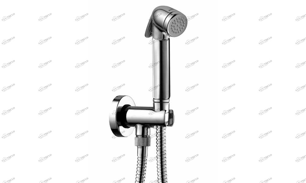 C69007 Гигиеническая лейка Talita BOSSINI 