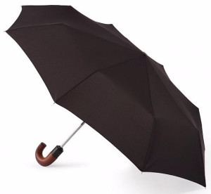 E514-01 Зонт E514 Fulton