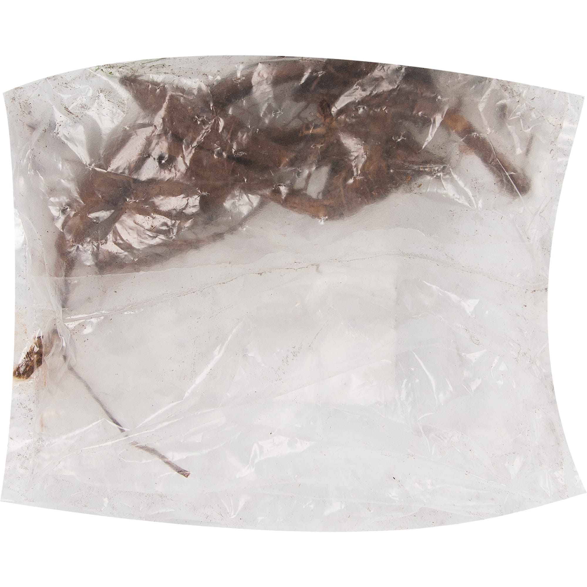 83760971 Георгина Долли Эйч луковица II Santreyd 