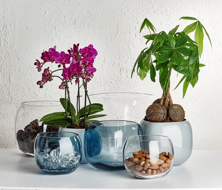 NUDE Ваза / контейнер из хрусталя Monobox sun-id-1465996 - Вид №2