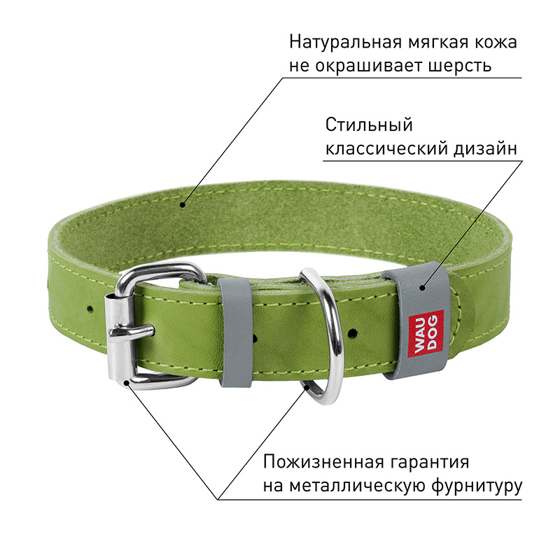 ПР0053711 Ошейник для собак Waudog Classic кожа, металлическая пряжка (шир.12мм, дл.19-25см) салатовый COLLAR  - Вид №2