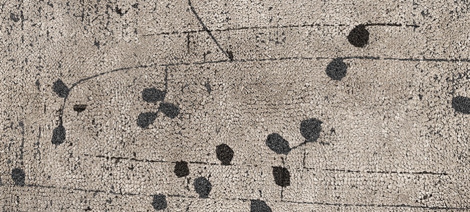 002538 Ковер Poppy Brabbu  - Вид №2