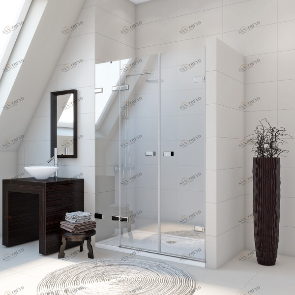 Душевые двери в нишу 120x200 GK-863A стекло прозрачное 6 мм GUTEWETTER TREND DOOR 120X200GK863A