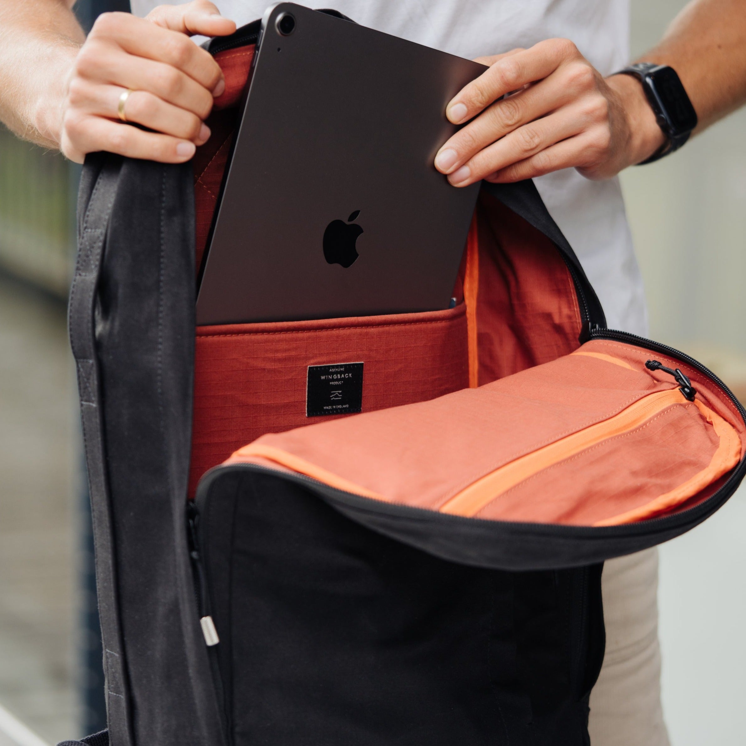 W301BLA-SAN-STE Ежедневная упаковка 21 л - песок / нержавеющая сталь Wingback  - Вид №10