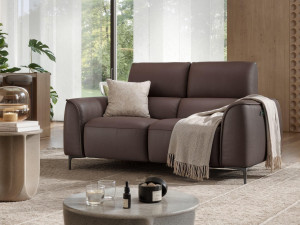 2-местный кожаный диван