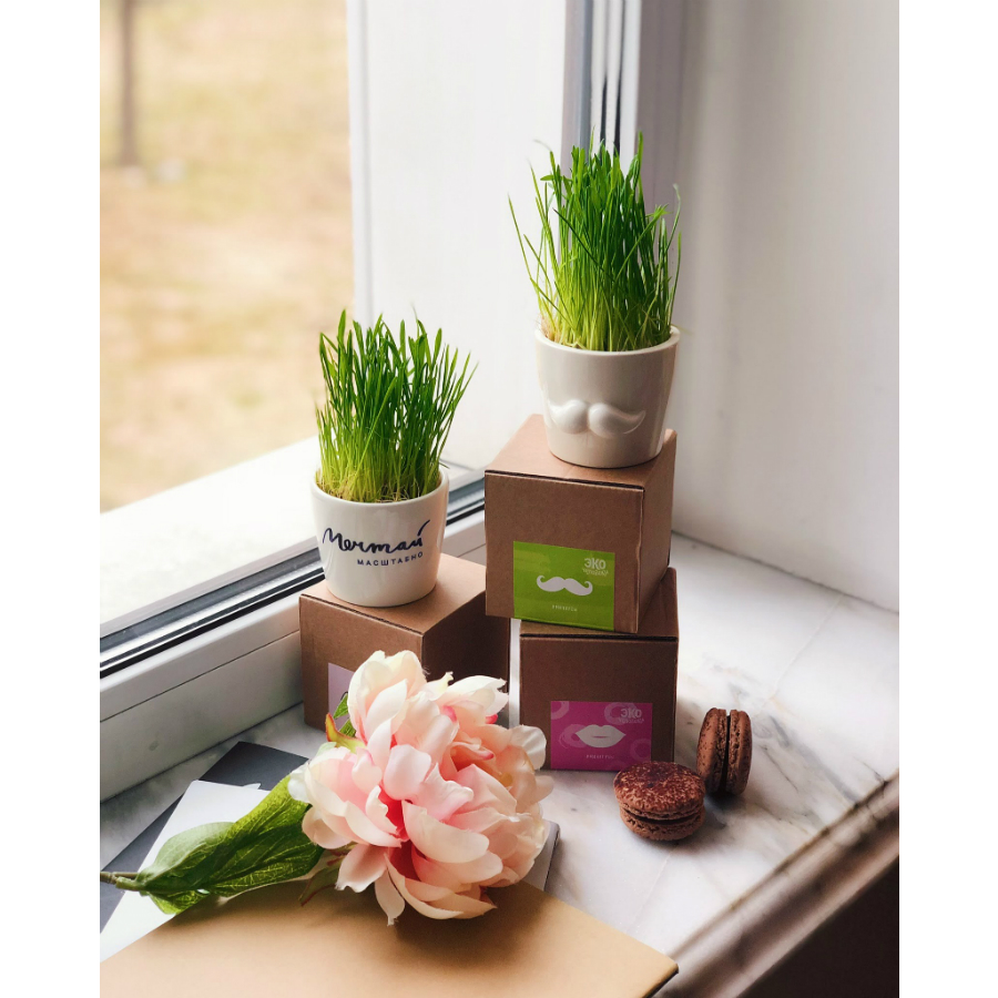 MIN-1-02 Набор для выращивания eco мини-кашпо «усы» Экочеловеки  - Вид №10