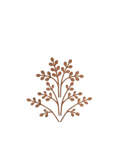 Выходит на диффузор. Бррр Алесси Пять сезонов