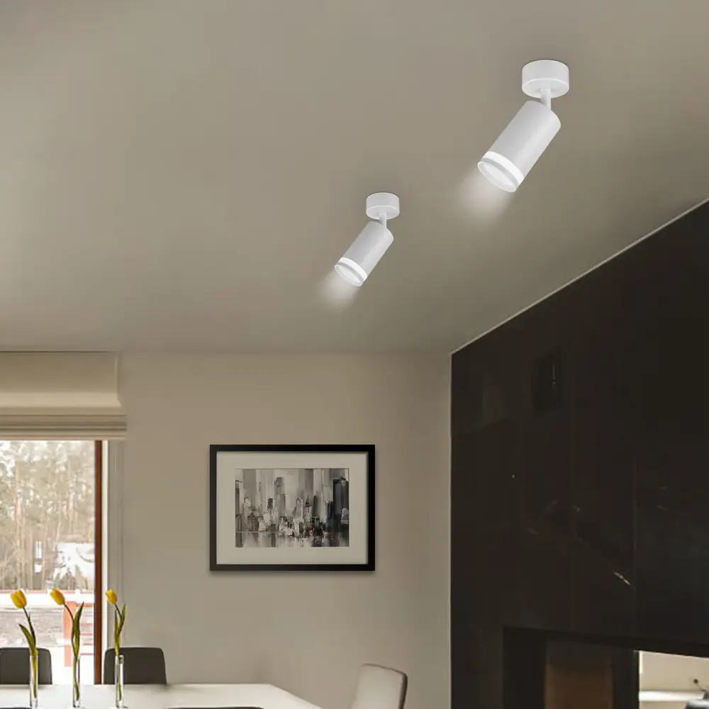 Поворотный спот Ritter Arton 59970 для точечного освещения интерьера 83978837 STLM-0045690 - Вид №11