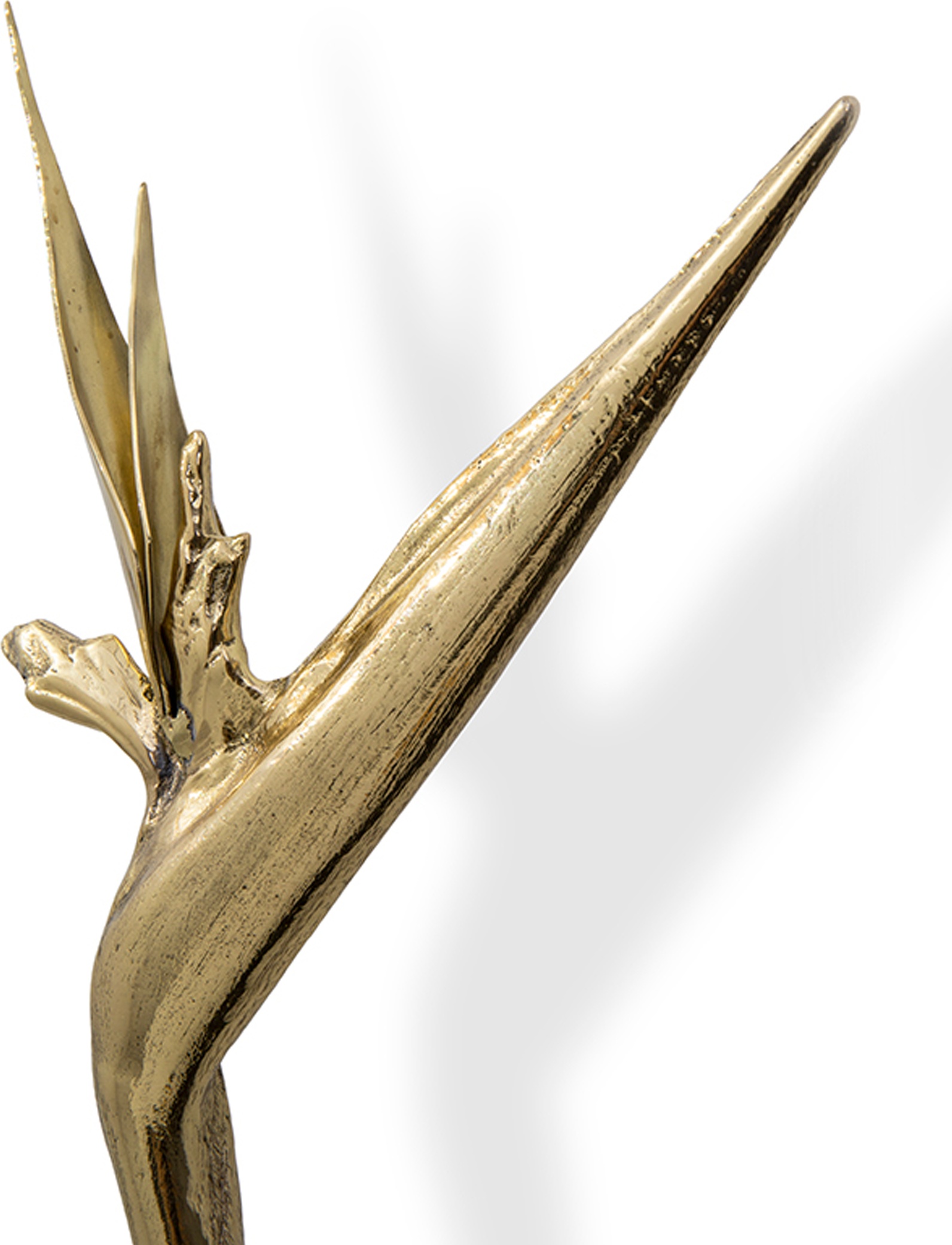 EA1061 Strelitzia PULLCAST Earth Collection  - Вид №3