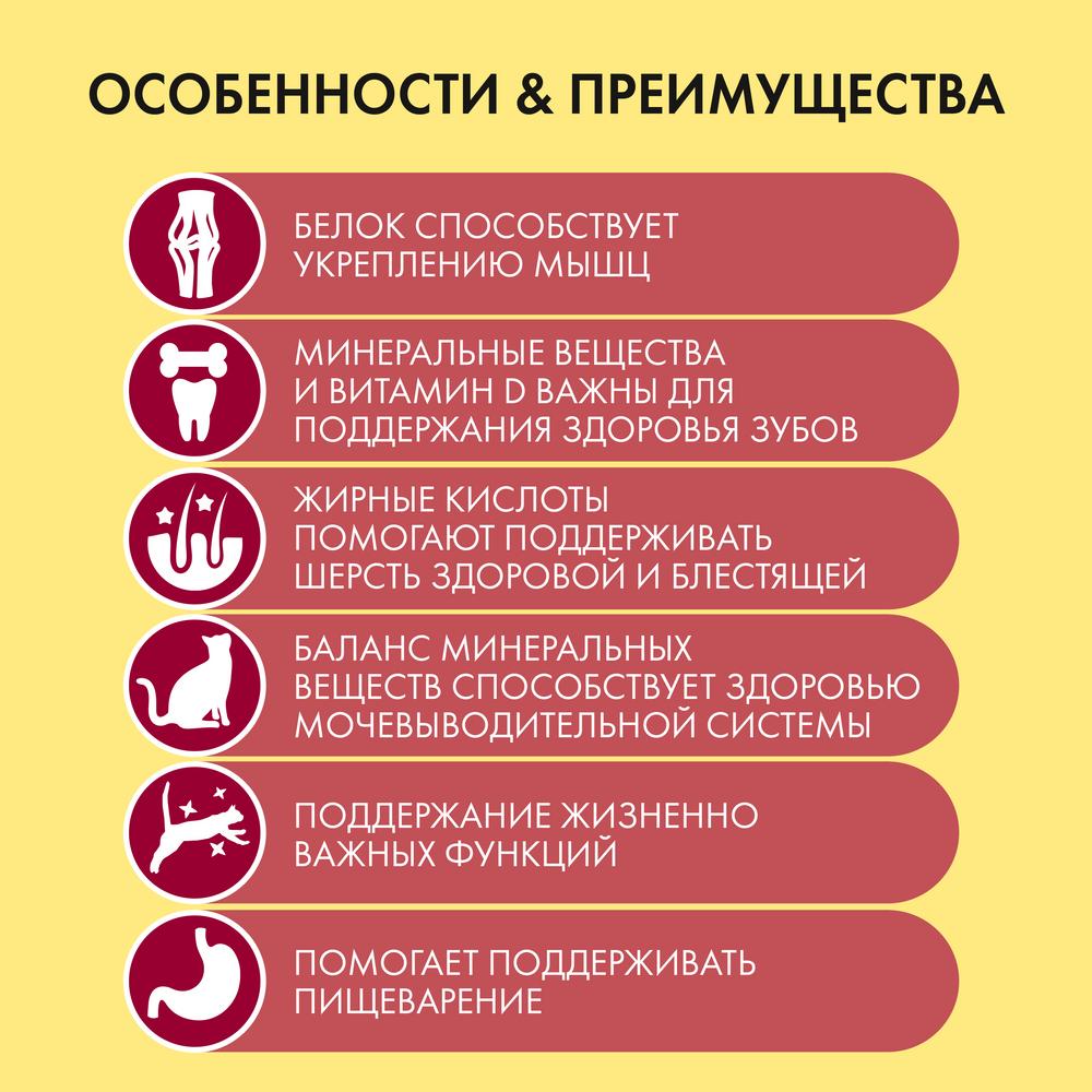 Т00007822 Корм для кошек с мясом, курица, овощи сух. 400 г Friskies  - Вид №5