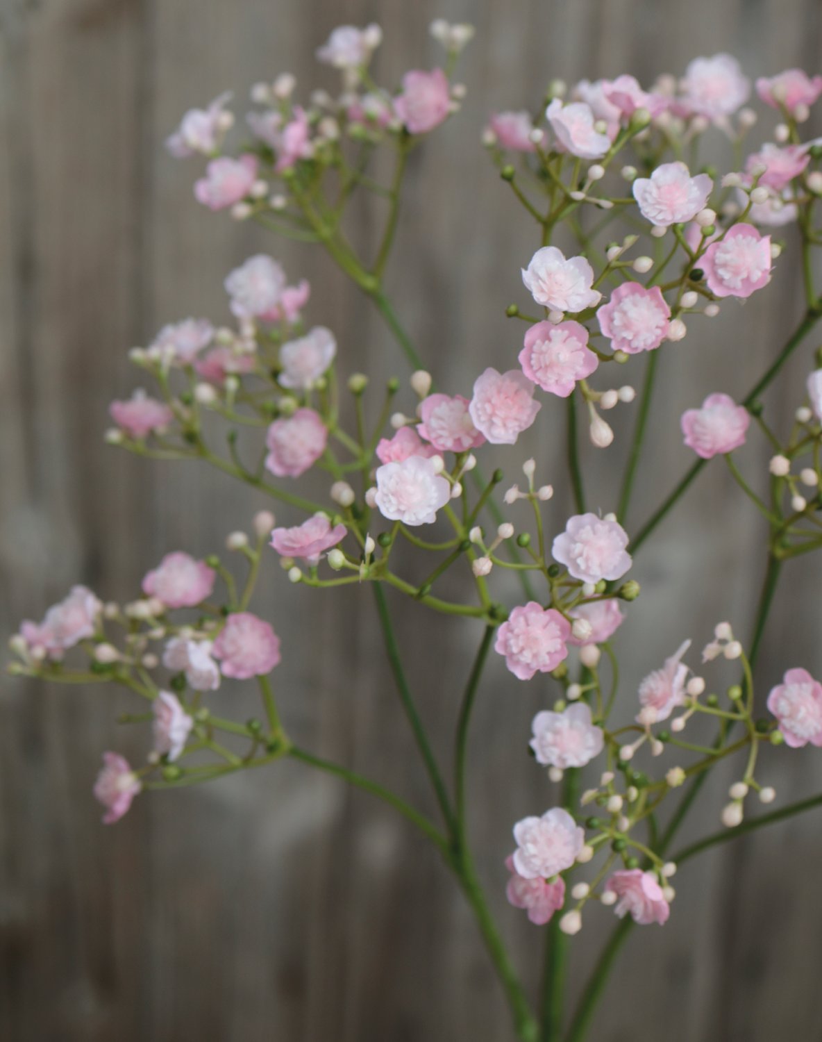 3088 508 a3 Искусственная гипсофила, 70 см, розово-зеленая H-andreas  - Вид №4