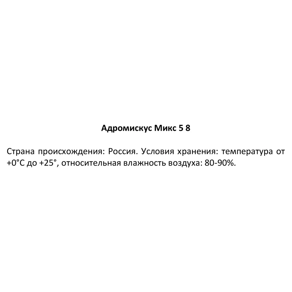 Адромискус Santreyd - суккулент с декоративными листьями 87819704 STLM-0075892 - Вид №3