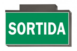 DST-2809 Lisu ceiling-mounted Daisalux Светильники сигнальные Металлический Серый