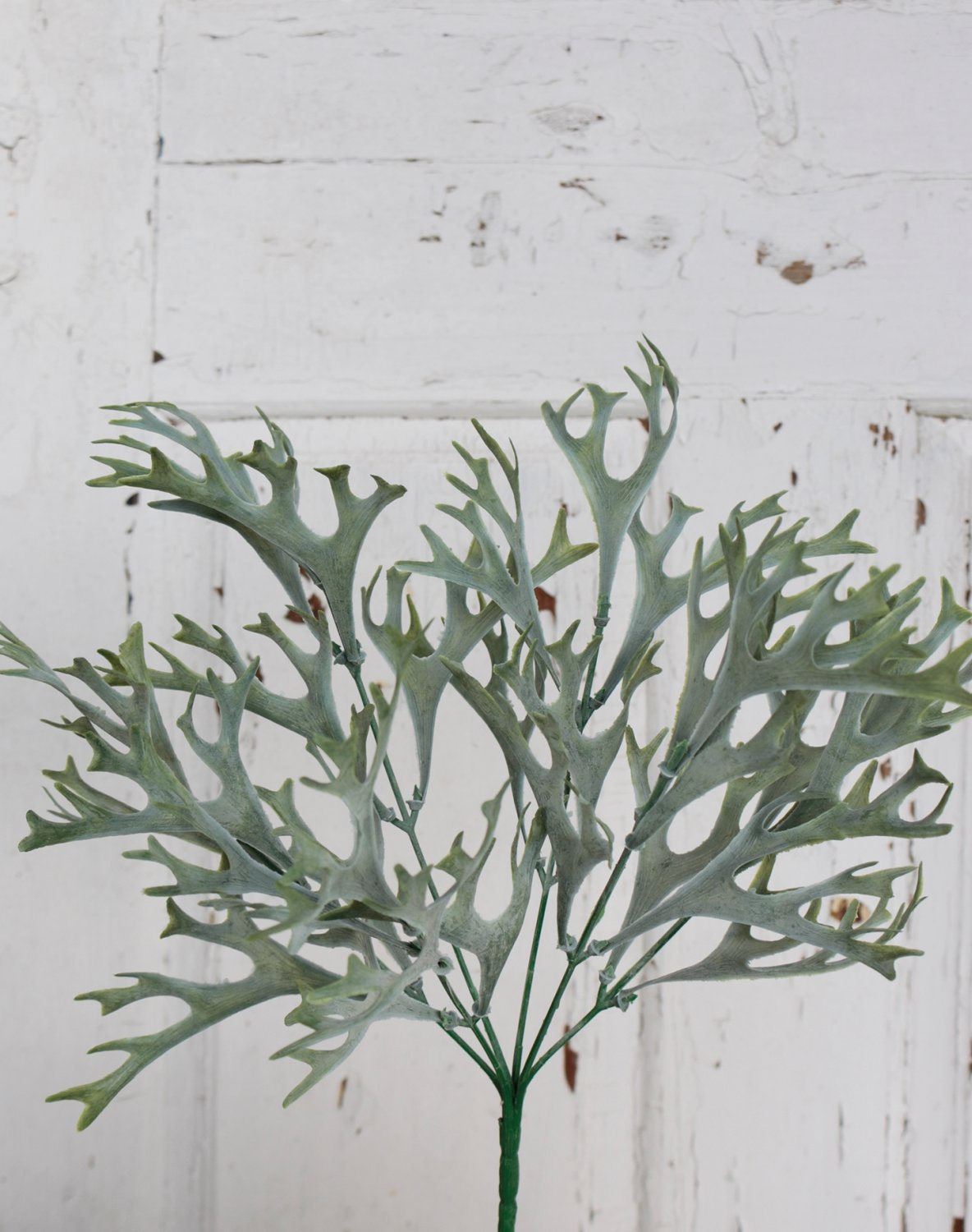 4380 809 a3 Искусственный папоротник олений рог, 35 см, зелено-серый H-andreas 