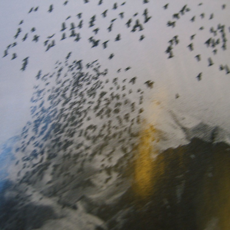 F124C/0334X98 Картина Murales 0334 Adriani e Rossi 