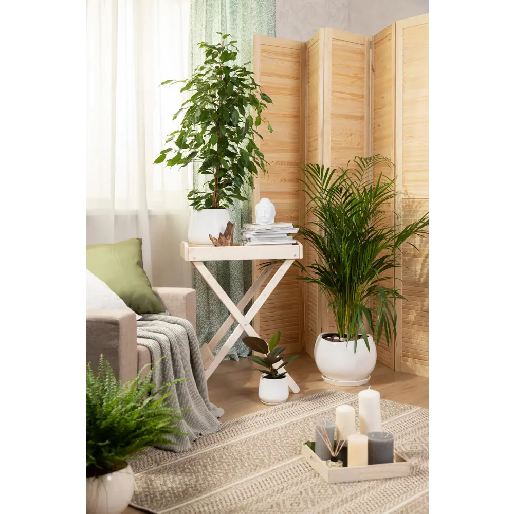 Santreyd Адель — керамический горшок для комнатных растений 81932590 STLM-0014177 - Вид №4