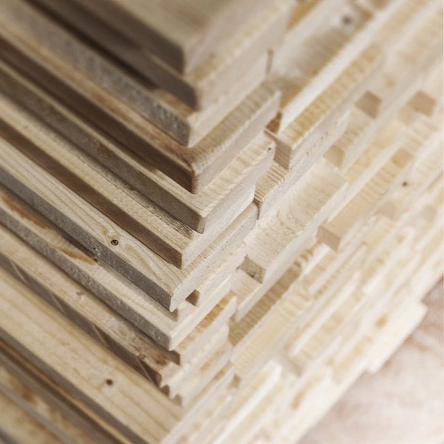 Пихта Mogg Ordinary Day ARCH-00120122 - Вид №5