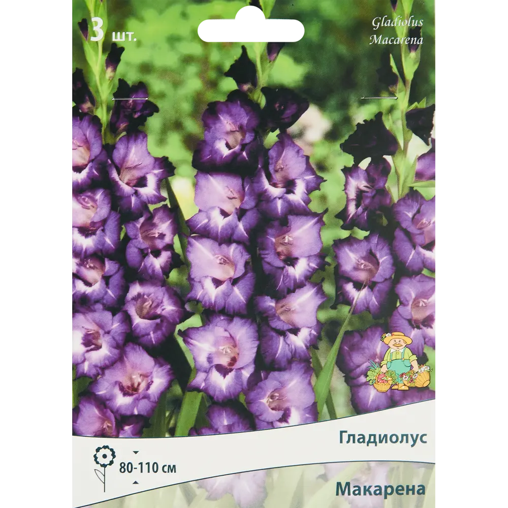 Гладиолус крупноцветковый Макарена, 3 шт 86410026 STLM-2004096 ПОИСК 